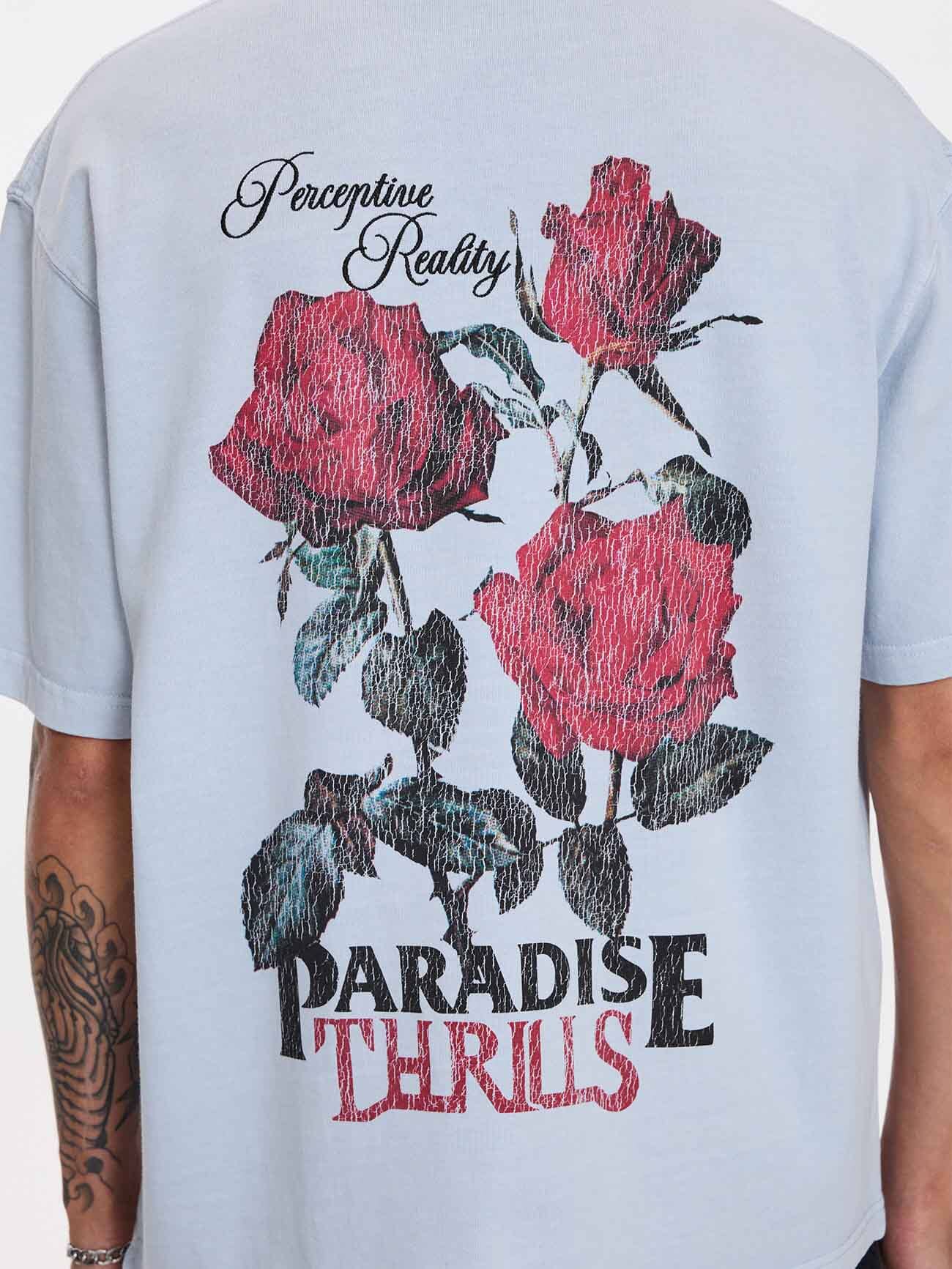 Paradise Valley Box Fit Cropped Tee - Baby Blue