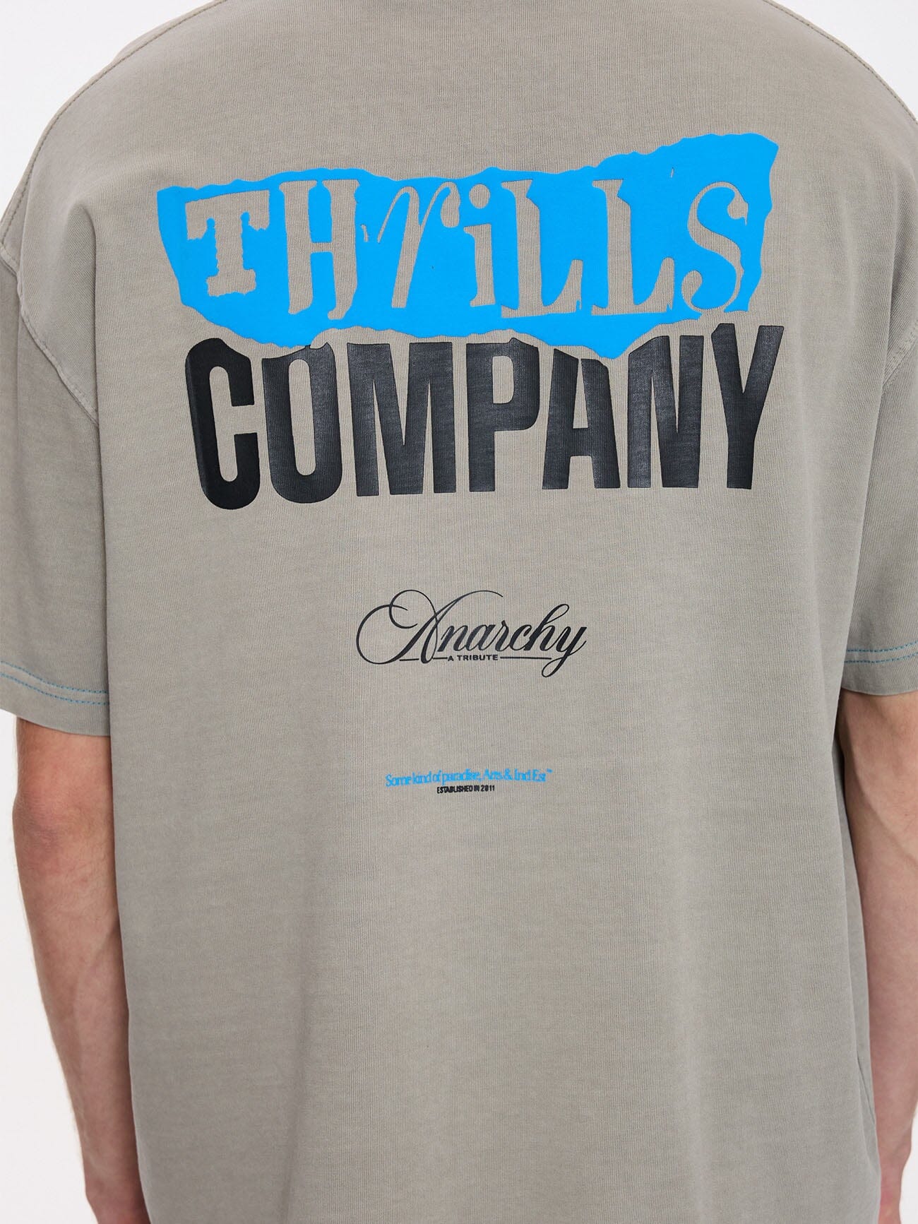 Total Anarchy Box Fit Cropped Tee - Fog