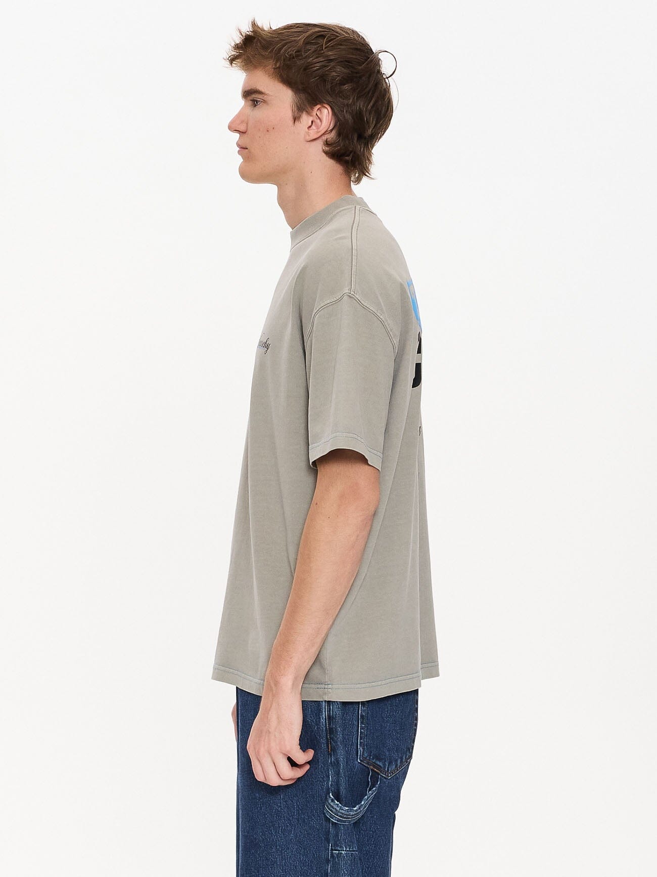 Total Anarchy Box Fit Cropped Tee - Fog