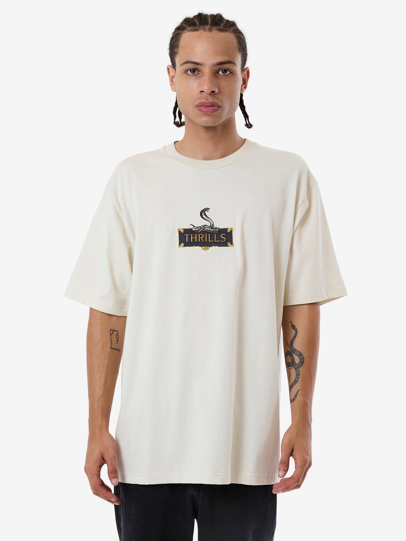 Male model wearing our Thrills Above It All Oversize Fit Tee in Grey standing against a plain studio background.