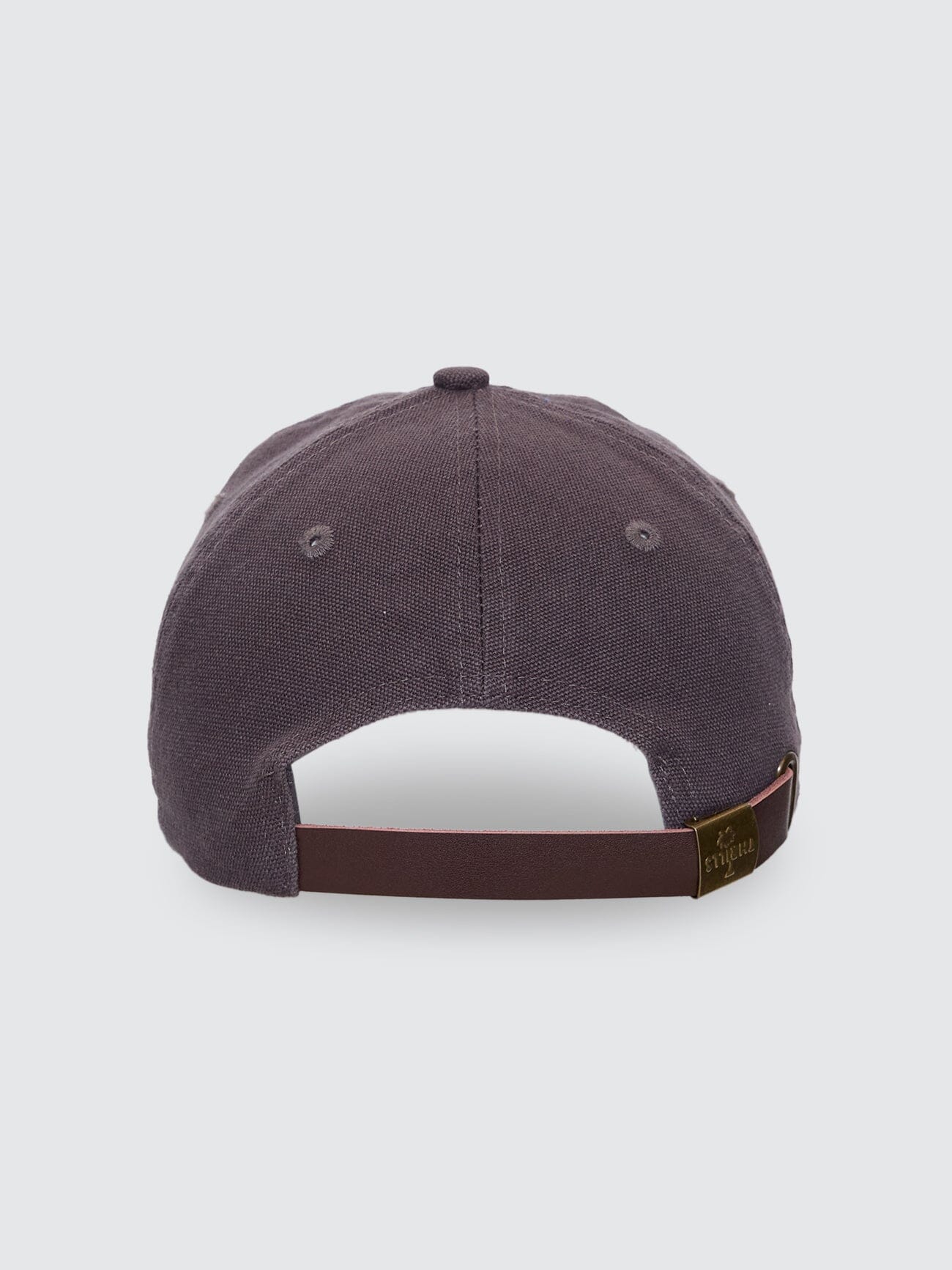 Thrills Union 6 Panel Cap - Charcoal Rose