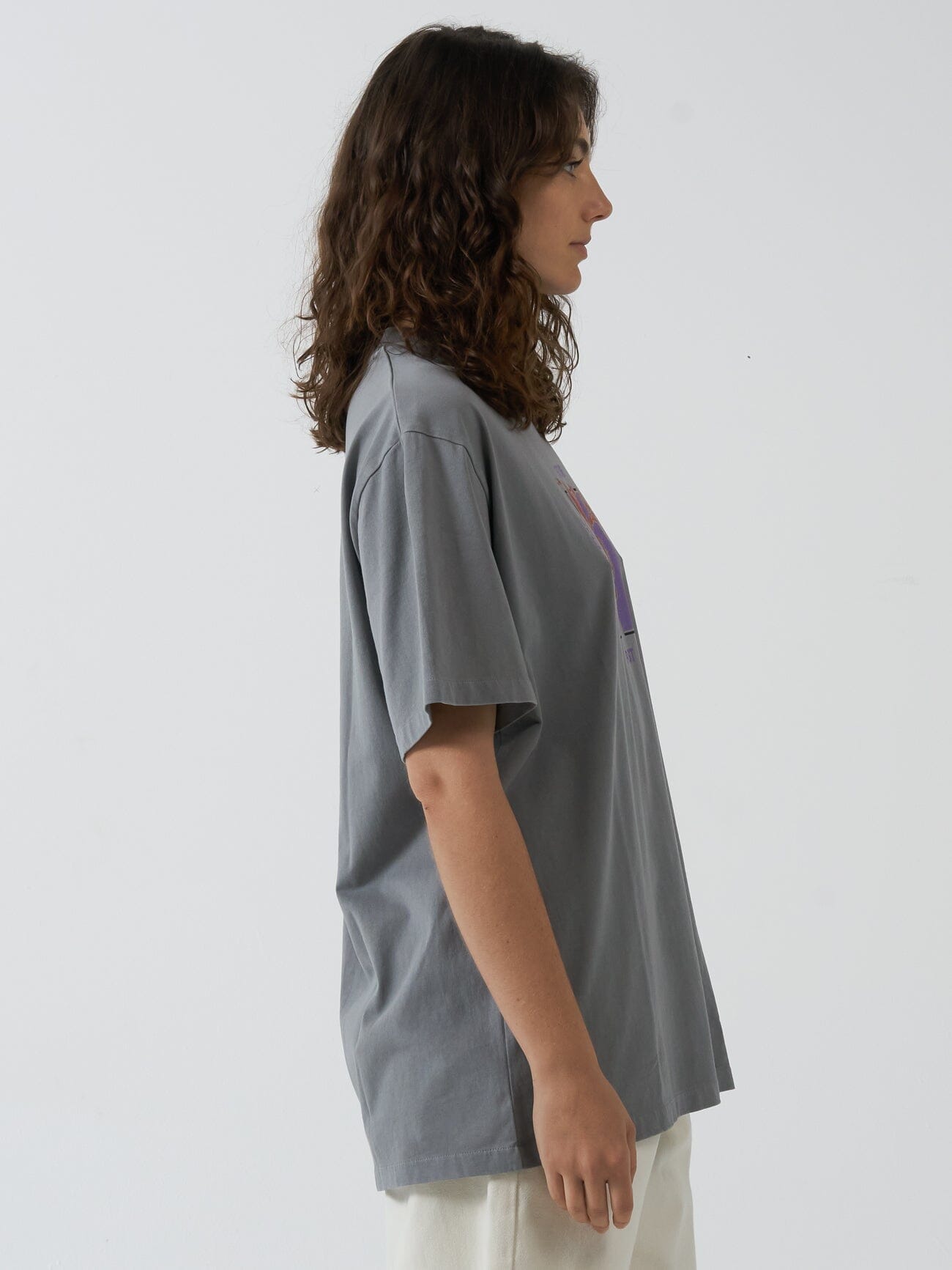 Future Problems Merch Fit Tee - Fog