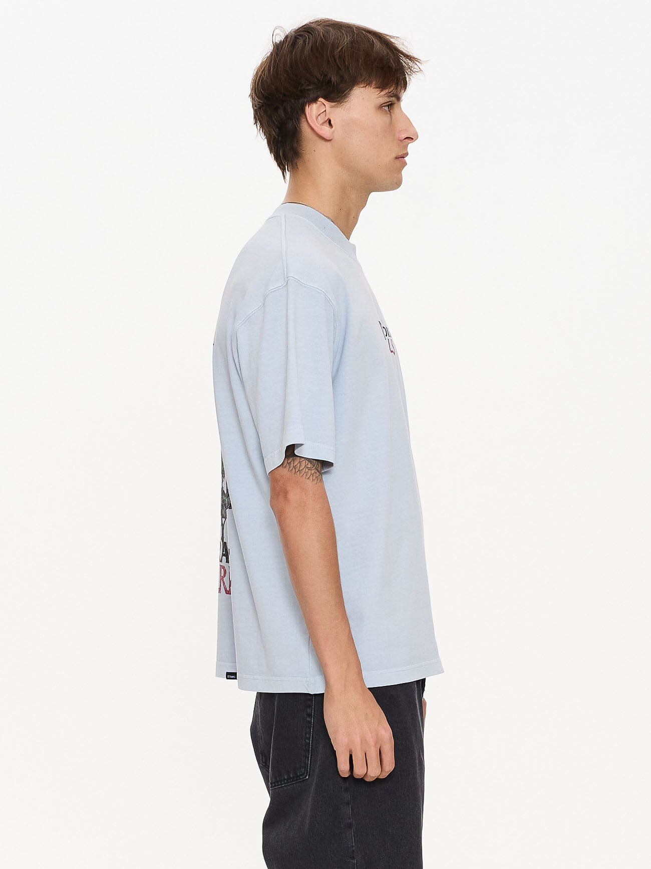 Paradise Valley Box Fit Cropped Tee - Baby Blue
