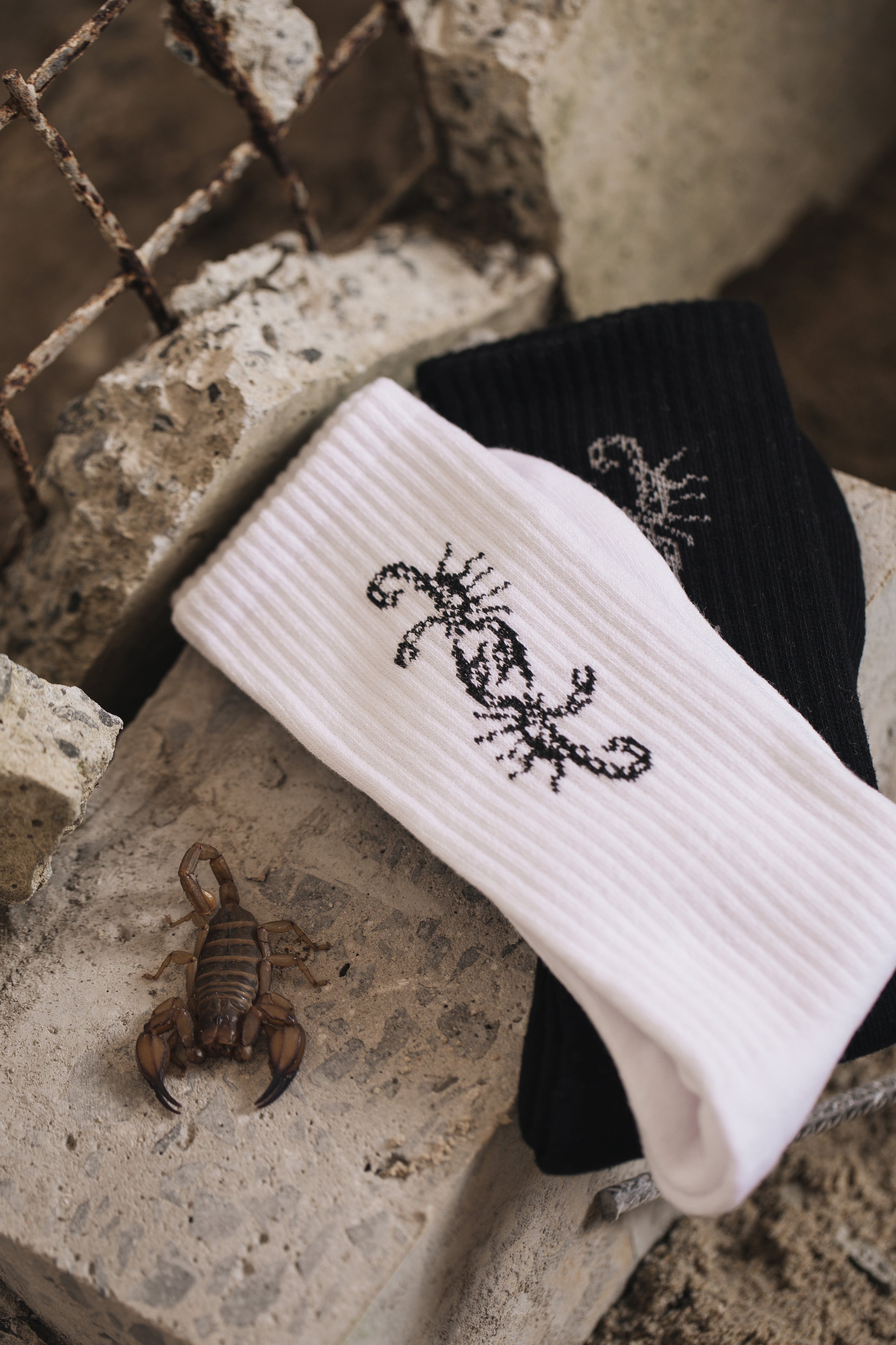 Thrills x Epokhe Scorpion 2 Pack Sock - Black/White