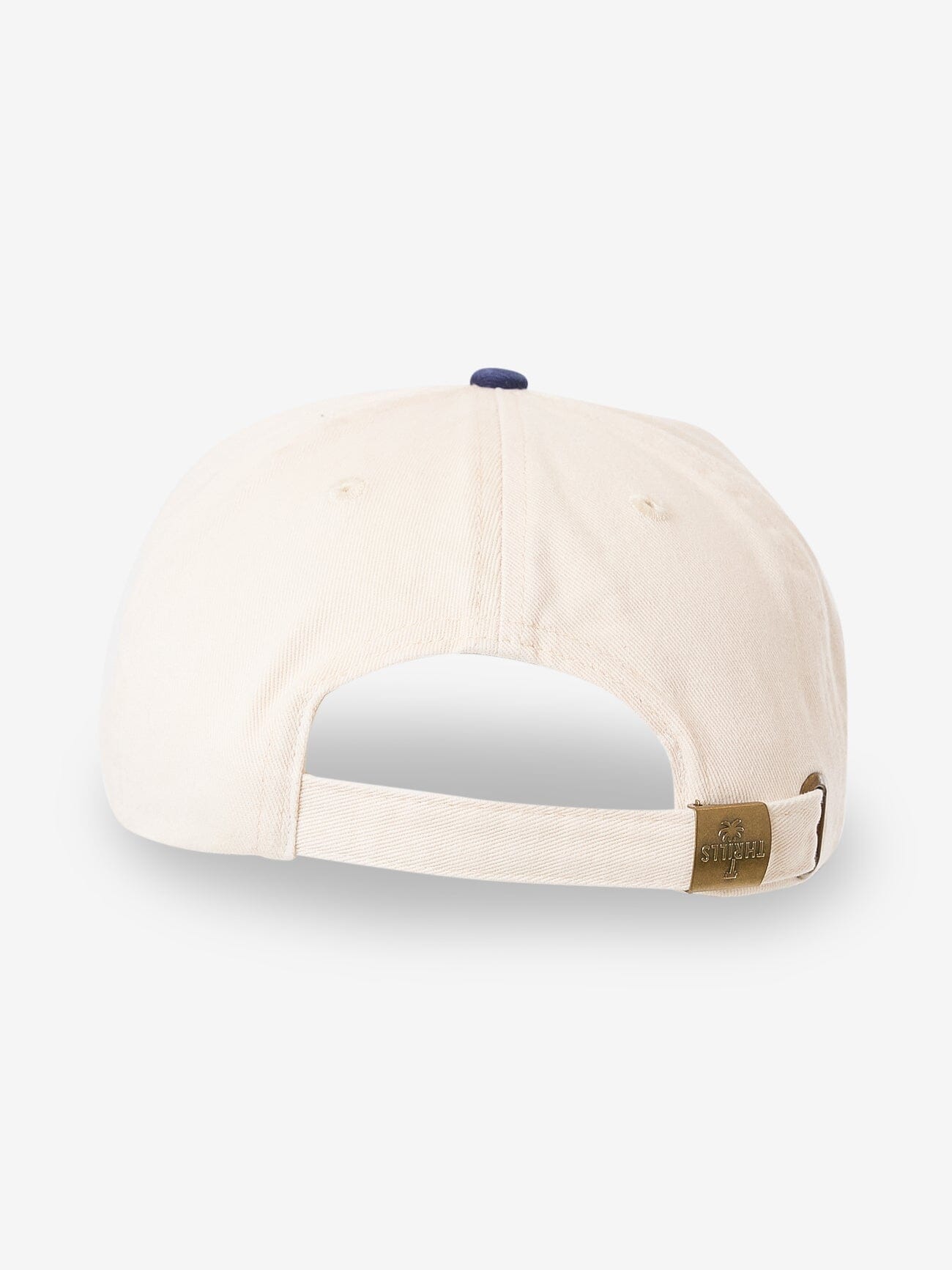 Pillar Of Strength 6 Panel Cap - Natural