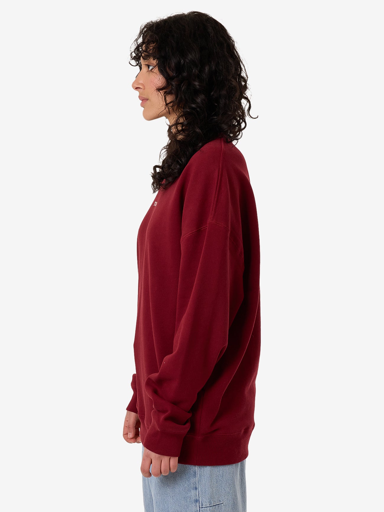 Minimal Thrills Slouch Crew - Cabernet 4