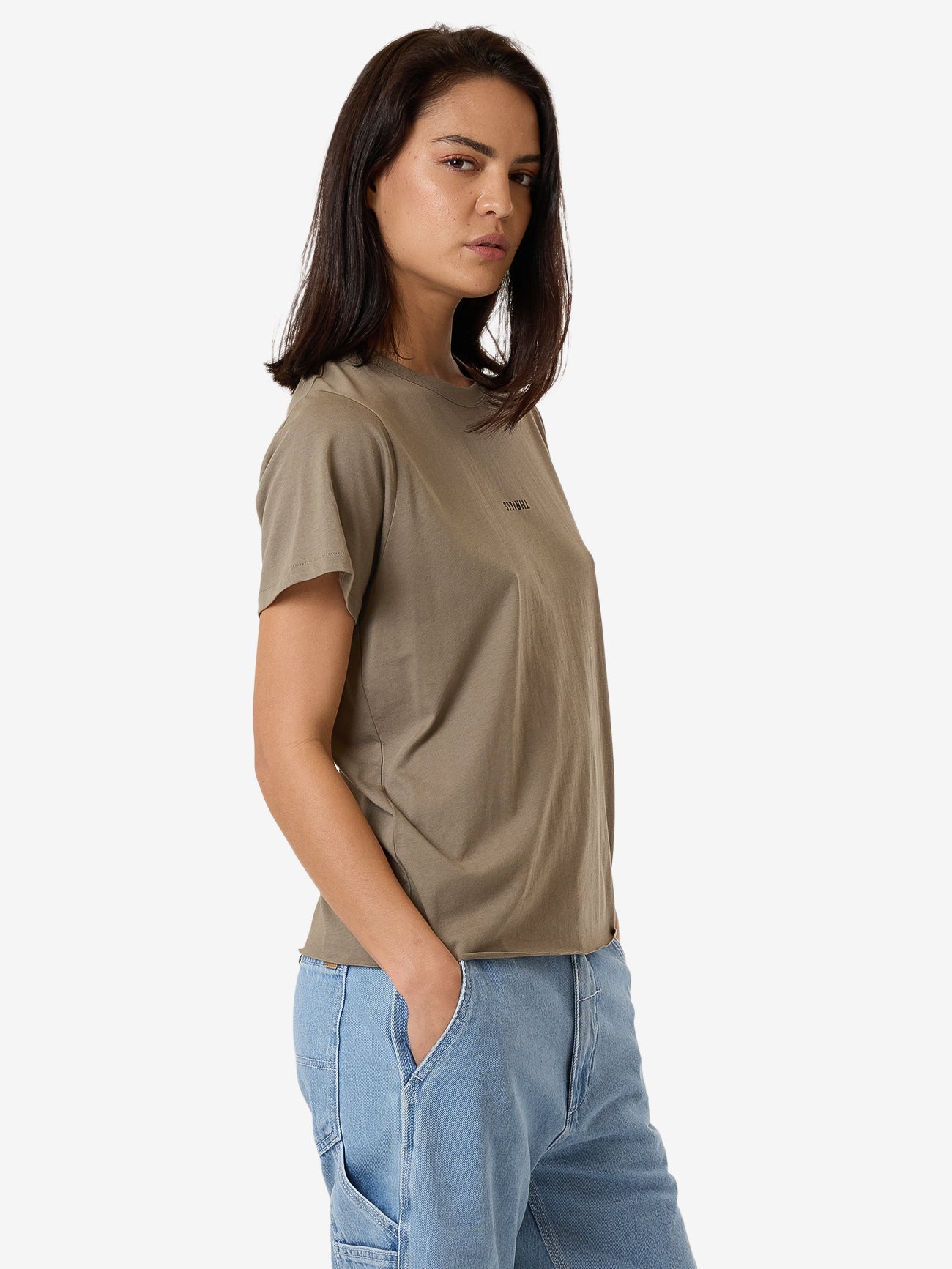 Minimal Thrills Relaxed Tee - Brindle 4