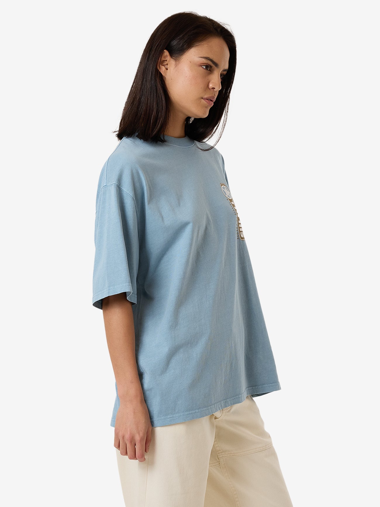 Gazed Oversized Tee - Stone Blue 4