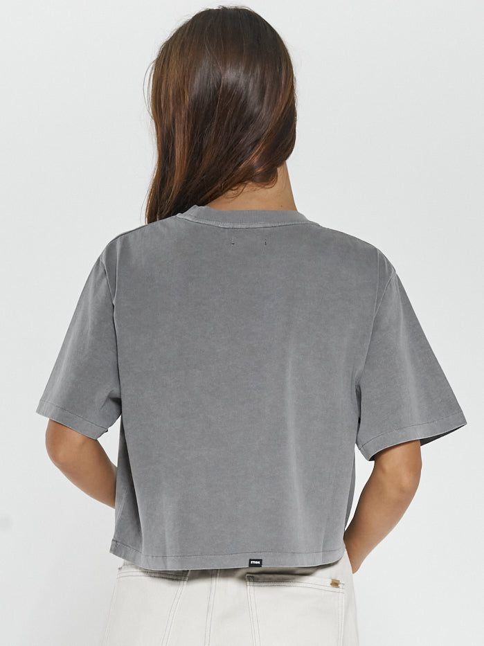 Wings Of Fire Merch Crop Tee - Washed Grey