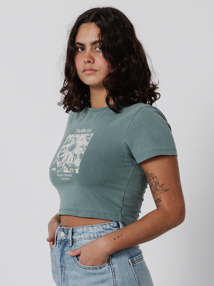 Natural Daisy Baby Crop Tee - Cedar Green