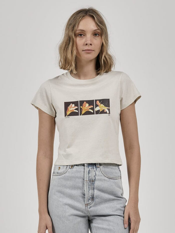 Triptych Mini Tee - Heritage White