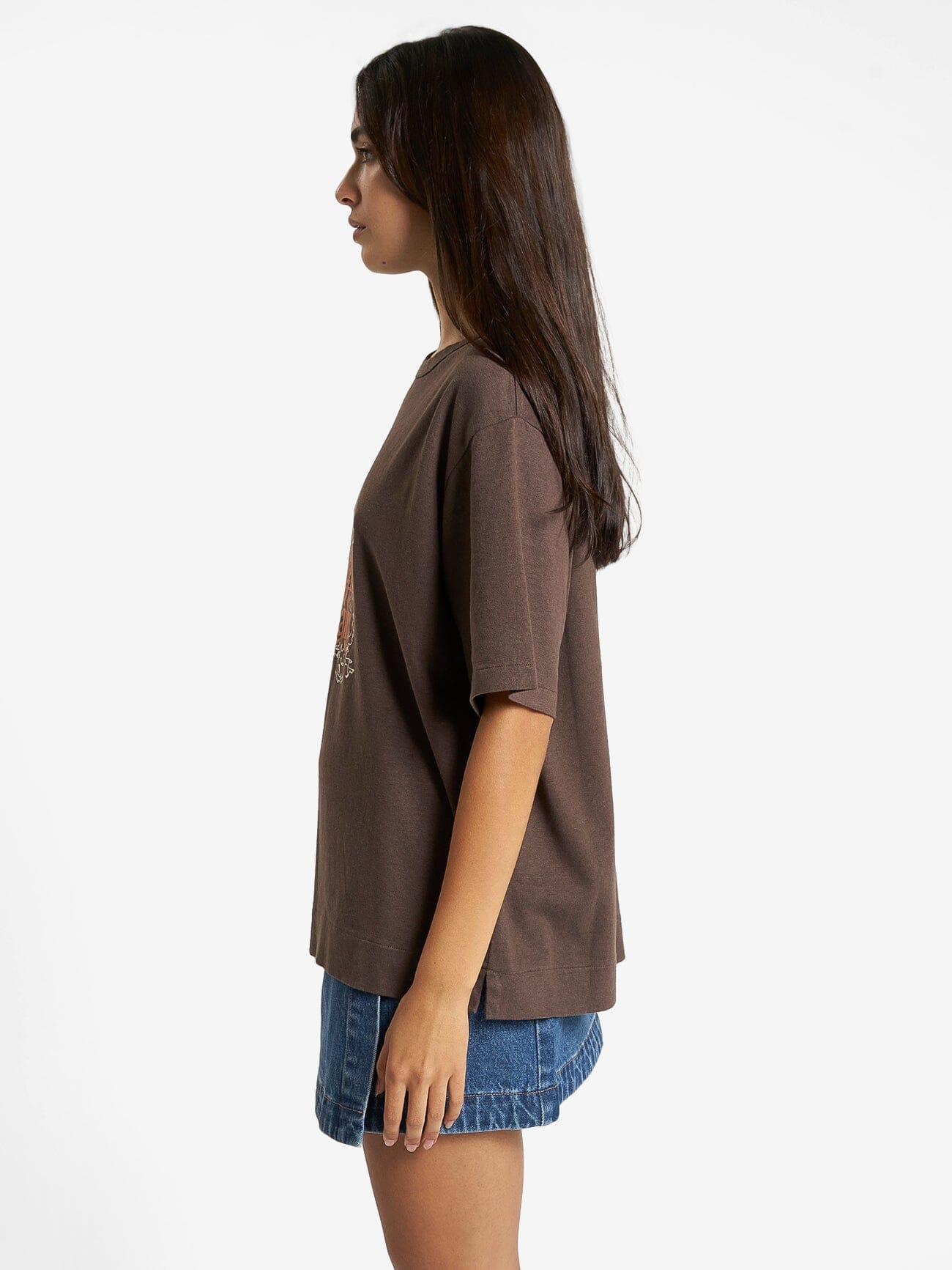 Physical Existence Hemp Box Tee - Postal Brown